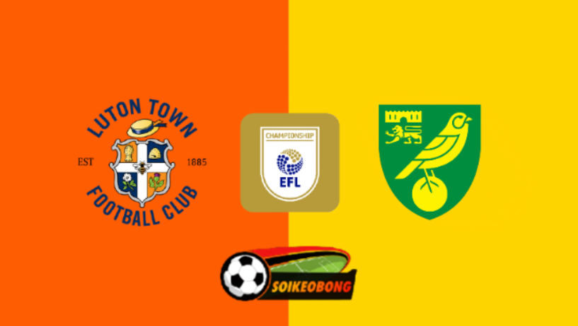 Soi kèo trực tuyến 7M trận Luton Town vs Norwich –  22h00 ngày 01/01/2025: Bước ngoặt trở lại