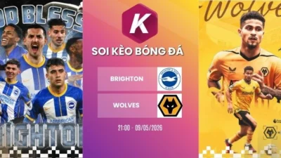 Dự đoán trận đấu Brighton vs Wolves – NHA, 09/05/2026
