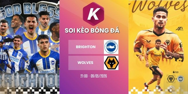 Dự đoán trận đấu Brighton vs Wolves – NHA, 09/05/2026